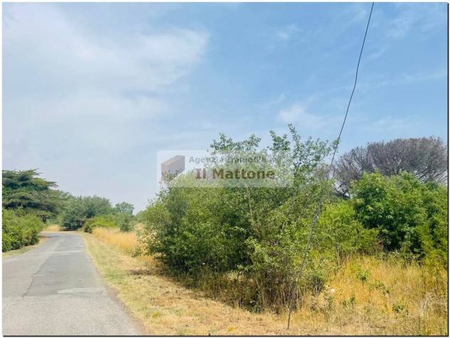 terreno agricolo a 10 Km dal Eur centro - Foto 5