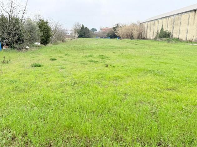 Terreno agricolo in vendita a Santa Croce sull'Arno 2685 mq Rif: 1396793 - Foto 3