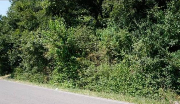 Immobile in asta di 11729 m² in vendita a Sovizzo - Foto 2