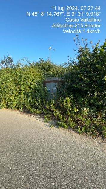 Cerco lavoro pulizia uliveti giardinaggio - Foto 3