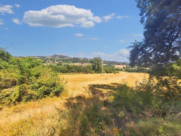 Immobile in asta di 221655 m² in vendita a Monte Castello di Vibio - Foto 13