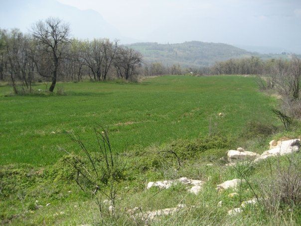 Ampia Tenuta Agricola in Abruzzo - Foto 8