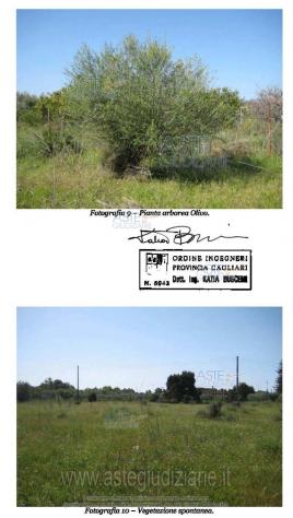 IMMOBILI-ALTRA CATEGORIA-Località Su Parargiu - Foto 8