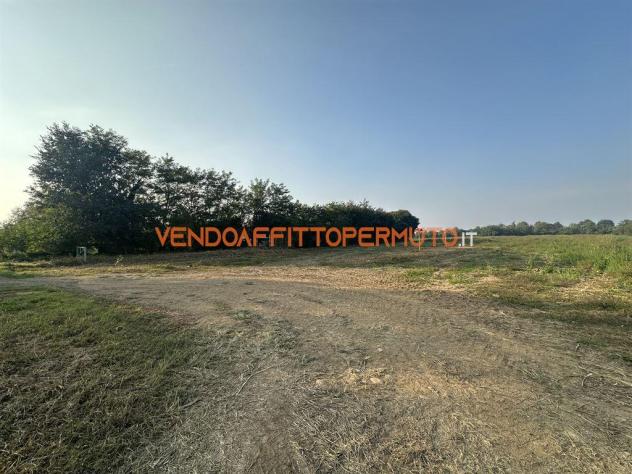 TERRENO AGRICOLO 4.400MQ - Foto 2