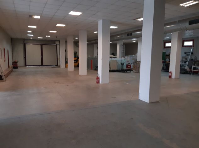 Vendo Capannone + Appartamentamento dilaz. pag 10 anni ROMANIA Provincia di Arad