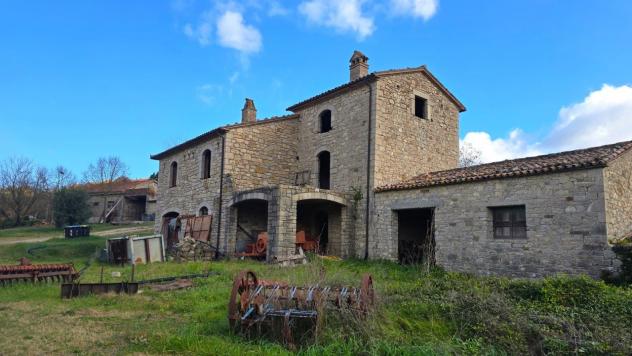 Azienda Agricola in vendita a Baschi - Foto 5