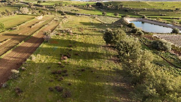 Terreno in vendita a Caltagirone - Foto 15
