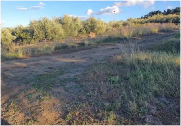 Immobile in asta di 37140 m² in vendita a Carlentini - Foto 8