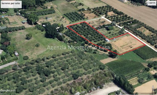 ORTO RECINTATO A POCA DISTANZA DA PESARO - Foto 13