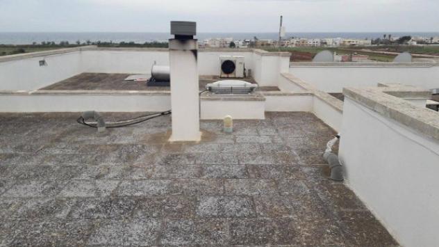 Immobile in asta di 546 m² con più di 5 locali in vendita a Salve - Foto 2