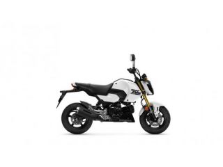 Honda MSX 125 MSX 125 GROM - YM 2026