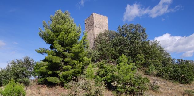 TORRE MEDIEVALE IN TENUTA DA 16 ETTARI SULLE COLLINE UMBRE