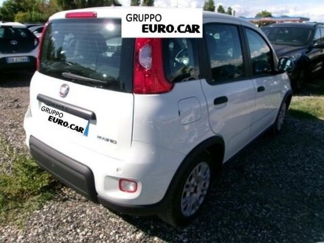 FIAT Panda Panda 1.0 firefly hybrid s&s 70cv 5p.ti - Foto 3