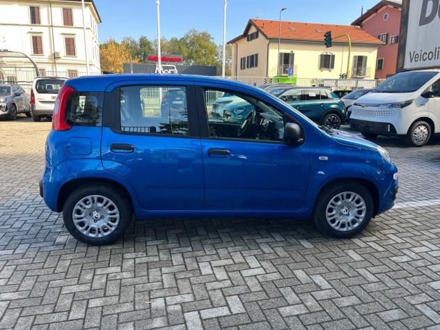 FIAT Pandina Pandina 1.0 firefly hybrid Icon s&s 65cv - Foto 6