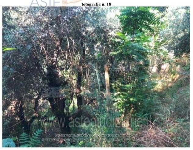 IMMOBILI-IMMOBILE RESIDENZIALE-Via Valenta, 1, 51030 Serravalle Pistoiese PT, Italia - Foto 7