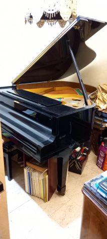PETROF p173 BREEZE -- pianoforte a coda Repubblica Ceca – 2001 - Foto 4
