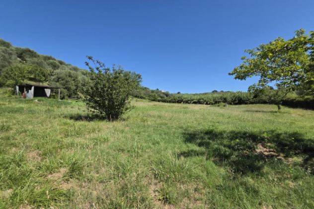 Terreno di 12000 m² in vendita a Guidonia Montecelio - Foto 12