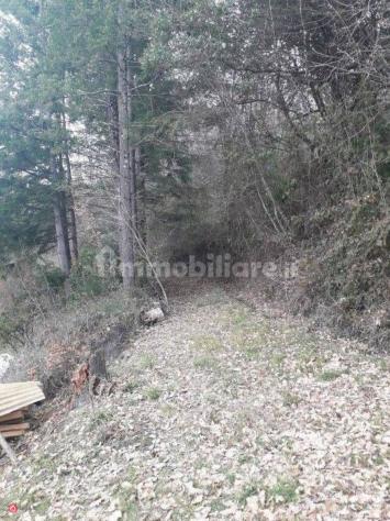 Villa in Vendita a Fivizzano - Foto 8