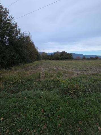 Terreno agricolo in vendita a Segromigno In Piano - Capannori 2000 mq Rif: 1383536 - Foto 4