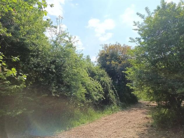 Vicoforte (CN), terreno edificabile - Foto 7