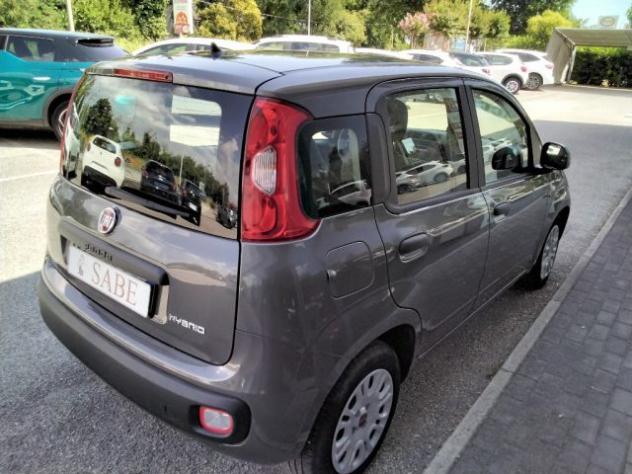 FIAT Panda 1.0 FireFly S&S Hybrid rif. 23905172 - Foto 5