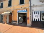 Locale comm.le/Fondo in affitto a Bientina 32 mq  Rif: 1412410