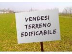 AREA EDIFICABILE di 5280 mq (CROCETTA DEL MONTELLO) rif. AT99_9