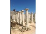 Splendide colonne in pietra leccese