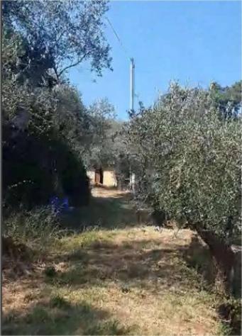 Immobile in asta di 112 m², box auto in vendita a Buti - Foto 2