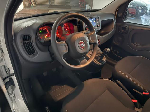 FIAT Panda Panda 1.0 firefly hybrid s&s 70cv 5p.ti - Foto 10