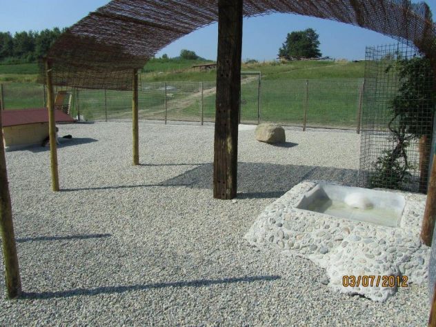 PENSIONE HOTEL DOGSITTER CATSITTER ALLEVAMENTO PER CANI E GATTI - Foto 2