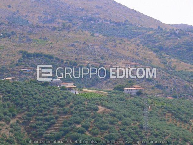 Terreno di 2234 mq in vendita a Belmonte Mezzagno - Rif. 4557340 - Foto 4