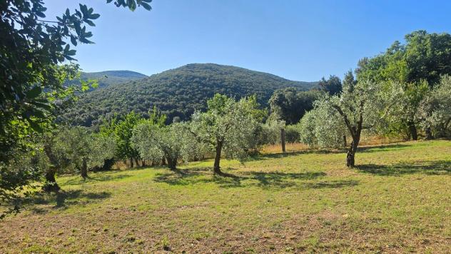 Rustico in vendita a Lugnano in Teverina - Foto 11
