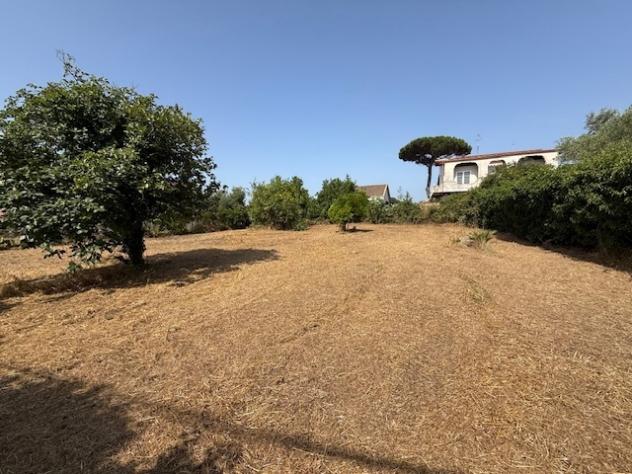 Terreno edificabile in vendita a Nettuno - Foto 4