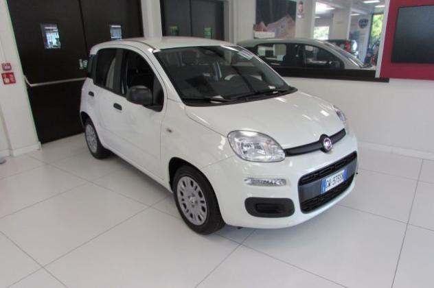 FIAT Panda 1.0 FireFly 70cv S&S Hybrid ICON KMZERO rif. 23983973 - Foto 2