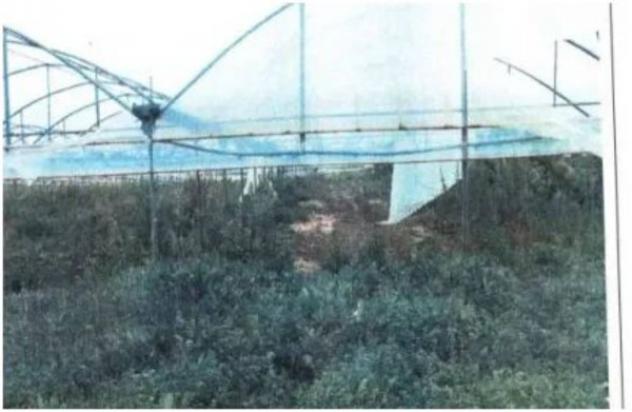 Immobile in asta di 26030 m² in vendita a Bernalda - Foto 3