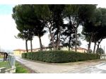 Casale in vendita a Capannori