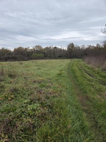 Terreno agricolo in vendita a Orentano - Castelfranco di Sotto 5000 mq Rif: 1383545 - Foto 4