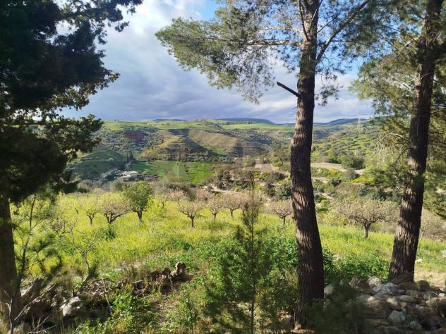 Terreno in vendita a Palazzolo Acreide - Foto 7