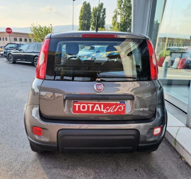 FIAT Panda 1.0 FireFly S&S Hybrid OK NEO PATENTATI rif. 23974029 - Foto 8