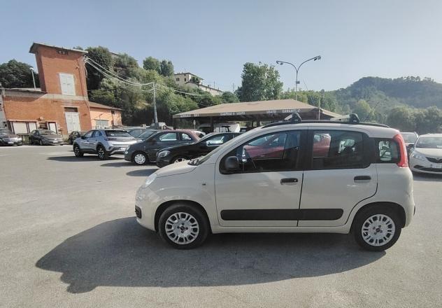 Fiat Panda 1.2 Pandazzurri - NEOPATENTATI - Foto 4