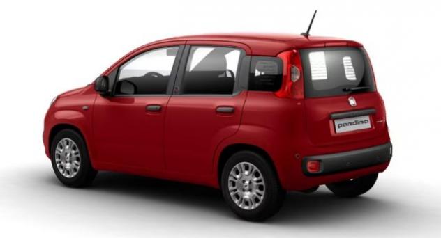 FIAT Panda APERTI AD AGOSTO rif. 24043661 - Foto 2