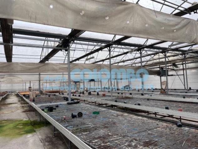 Immobile di 5000 m² in affitto a Brescia - Foto 9