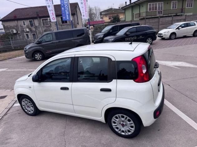 FIAT Panda 1.0 FireFly S&S Hybrid rif. 23474707 - Foto 3