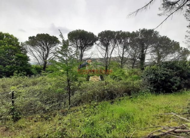 Orvieto - Ampia villa anni '70 in vendita in zona panoramica su Orvieto - Foto 2
