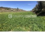 Terreno di 7308 mq in vendita a Sona - Rif. 4546691