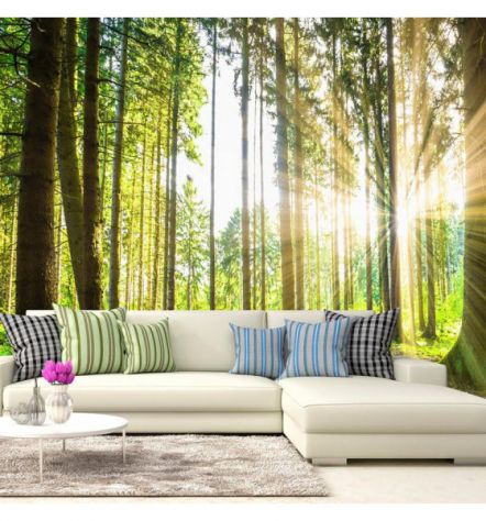 Fotomurale Adesivo Nella Foresta Illuminata Arredalacasa