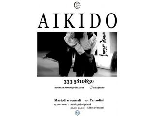 Corso di Aikido, arte marziale giapponese