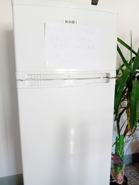 Frigo ignis