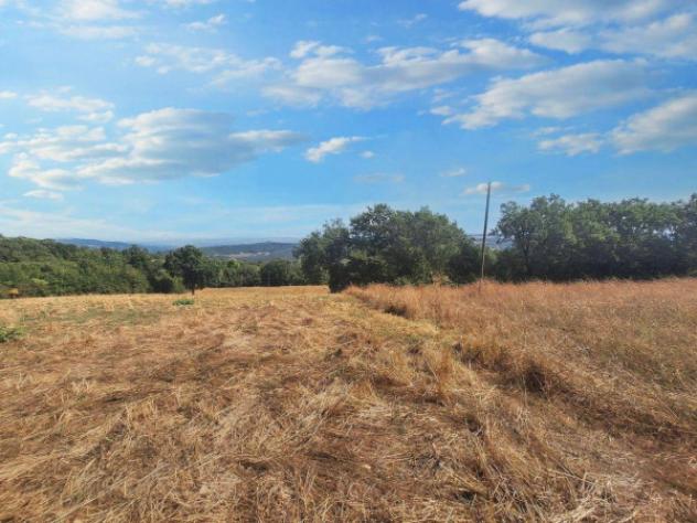 Immobile in asta di 3875 m² in vendita a Bevagna - Foto 10